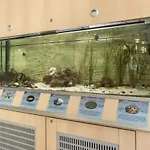 بيت شباب Jugendherberge Husum هوسوم